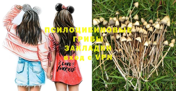 СК Коряжма