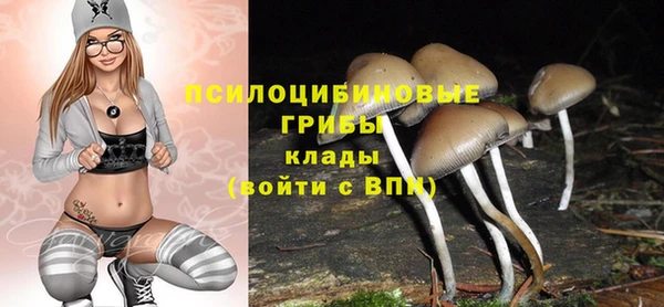 СК Коряжма